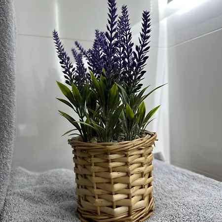 Apartmán Figaretti Krakov